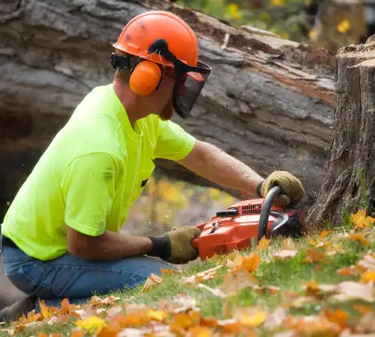 tree services Haw River